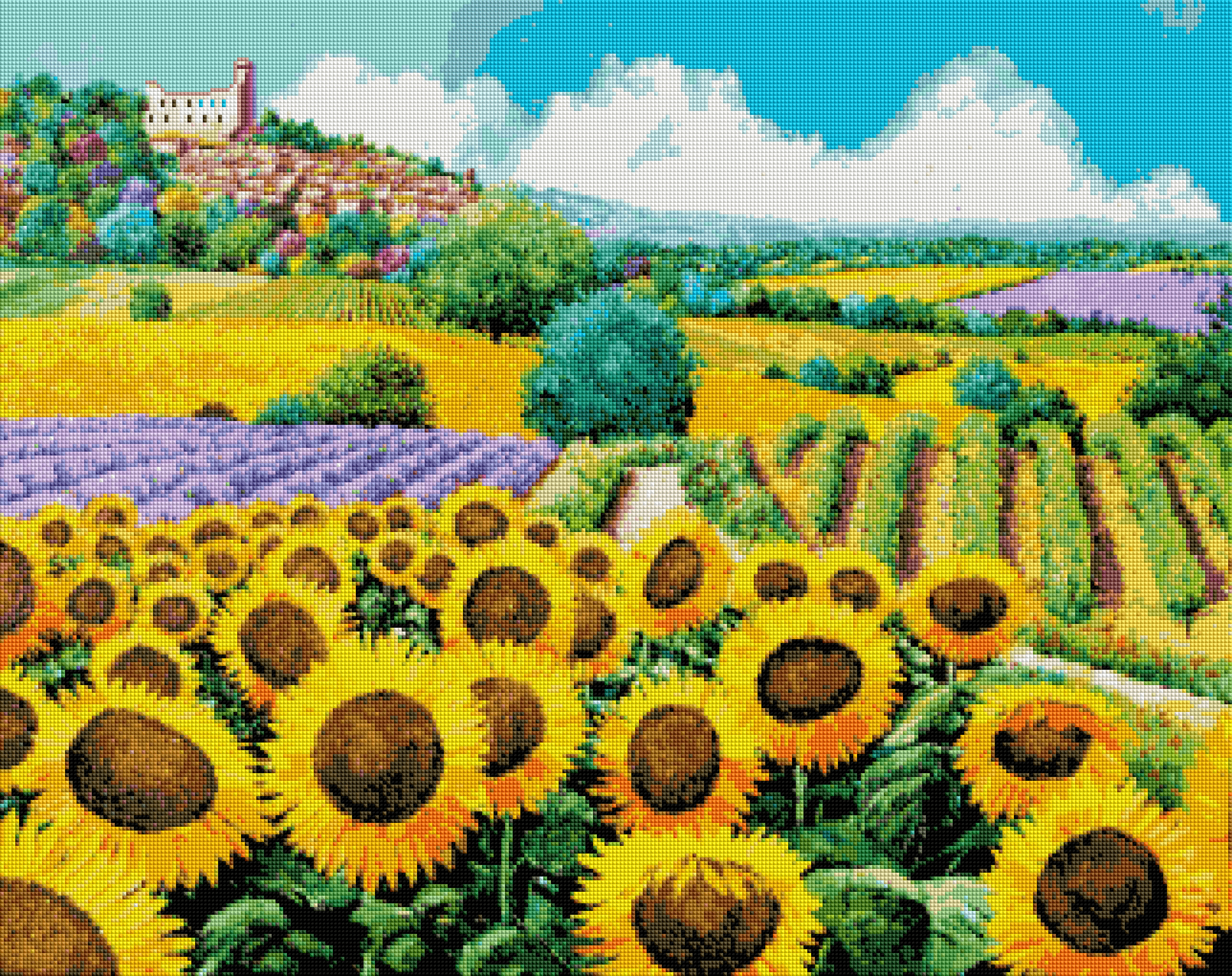 Vineyards and Sunflowers
