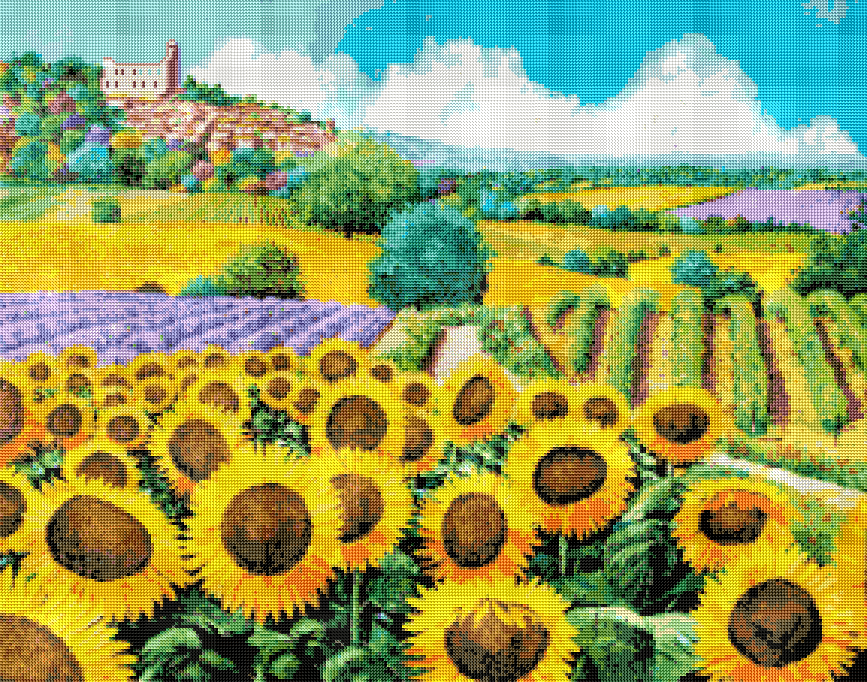 Weinberge und Sonnenblumen